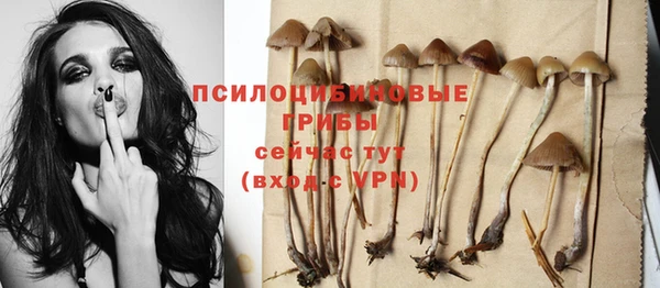 прущие крисы Алзамай