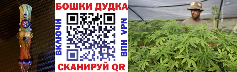 Марихуана сатива купить kraken как войти Славск